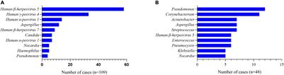 Metagenomic Next-Generation Sequencing Is Highly Efficient in Diagnosing Pneumocystis Jirovecii Pneumonia in the Immunocompromised Patients